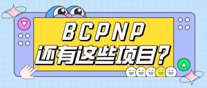 Read more about the article BCPNP还有这些项目？